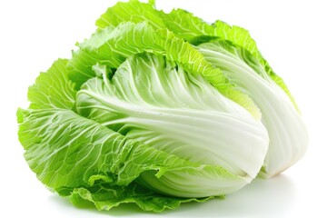 A detailed view of a crisp green lettuce leaf on a white background, ideal for food or agriculture-related uses