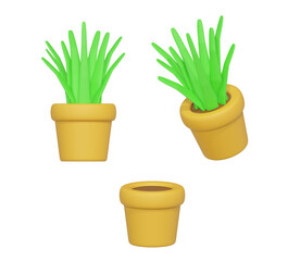 Potted plants for the interior. 3D render