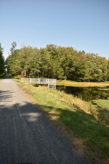 Forêt Drummond 15 Septembre 2024