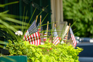 American Flags