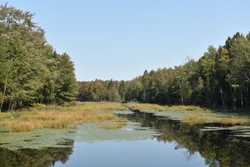 Forêt Drummond 15 Septembre 2024