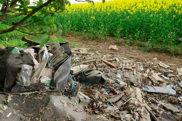 Abandoned Debris Mingles With Blooming Yellow Canola Fields in Rural Landscape