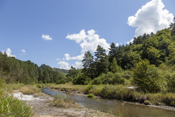Obraz premium river in the mountains