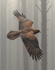 A Hawk Gliding Through a Misty Forest in Early Morning Light Over Soft Silhouettes of Trees