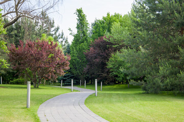 Walkway in the park with green grass and trees on the background