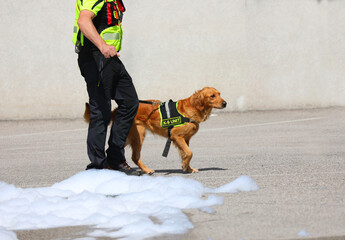 dog of the canine unit during the search operations with the text K9 UNIT with man