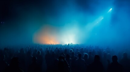 crowd at concert - summer music festival