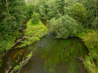 Wild river in the park