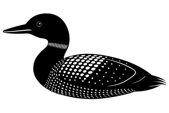 recommend clip art:  Loon bird silhouette black vector art illustration