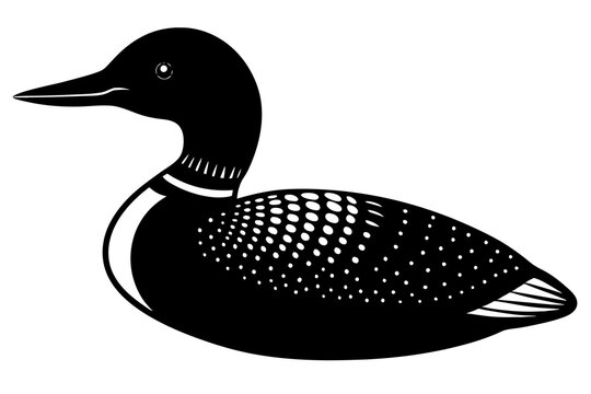 recommend clip art:  Loon bird silhouette black vector art illustration