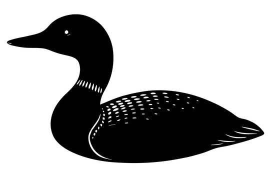 recommend clip art:  Loon bird silhouette black vector art illustration