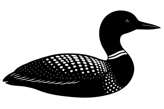 recommend clip art:  Loon bird silhouette black vector art illustration