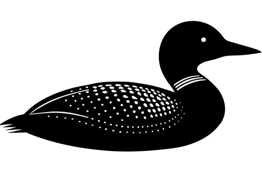recommend clip art:  Loon bird silhouette black vector art illustration