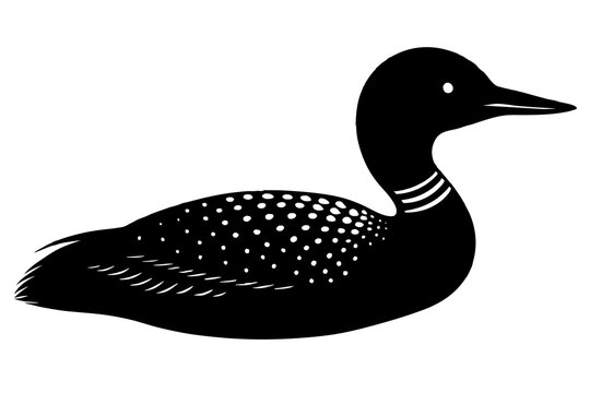 recommend clip art:  Loon bird silhouette black vector art illustration