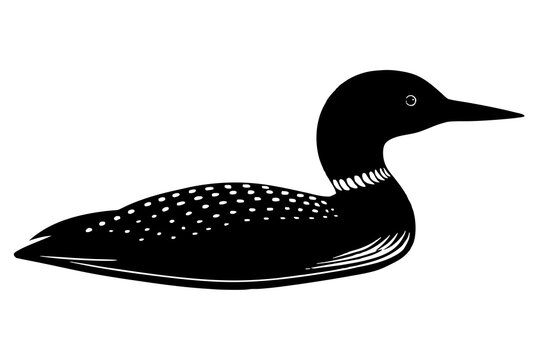 recommend clip art:  Loon bird silhouette black vector art illustration