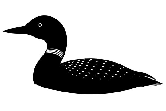 recommend clip art:  Loon bird silhouette black vector art illustration