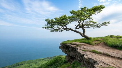 Obraz premium Nature's Sculpture: Explore the artistic inspiration drawn from the unique formation of cliffside trees.