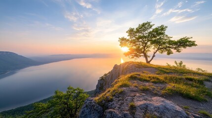 Perched Serenity: Capture the serene beauty of a sunset as viewed from a cliff with protruding trees.