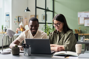 Smiling colleagues engaging with laptop in a modern office space featuring books, plants, and art while brainstorming and collaborating on project