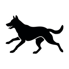 Fototapeta premium a dog running. The dog appears to be a German Shepherd or a similar breed. It is in mid-stride, with its front legs stretched out and its tail wagging