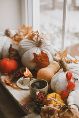 Warm cup of tea, pumpkins, autumn leaves, candle and woolen scarf on windowsill. Autumn hygge still life. Happy Thanksgiving. Hello fall