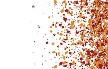 autumn leaves Square frame Background material designed branches. Vector illustration