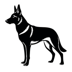 a German Shepherd dog. The dog is standing on all fours and is facing towards the left side of the image. It has a long, slender body with a pointed head and pointed ears