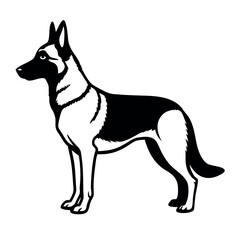 a German Shepherd dog. The dog is standing on all fours and is facing towards the left side of the image. It has a long, slender body with a pointed head and pointed ears