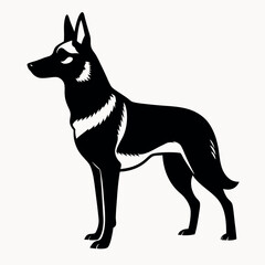 a German Shepherd dog. The dog is standing on all fours and is facing towards the left side of the image. It has a long, slender body with a pointed head and pointed ears
