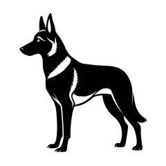 a German Shepherd dog. The dog is standing on all fours and is facing towards the left side of the image. It has a long, slender body with a pointed head and pointed ears