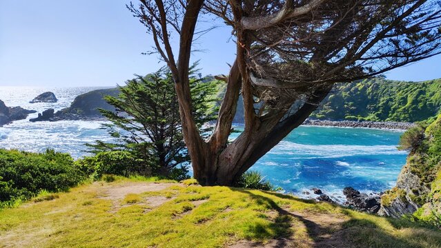 against the wind