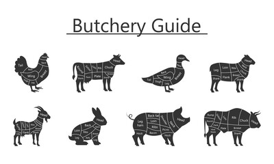 Butchery guide Bull, Chicken, Cow, Duck, Lamb, Rabbit, Goat, Pig meat cuts. Vector Illustration.