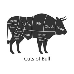 Bull butchery diagram. Cuts of bull. Perfect for restaurant menus and educational materials. Vector Illustration.
