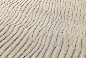 Fototapeta premium Beautiful sand waves created by the wind on the seashore