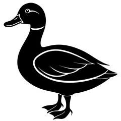 duck isolated on white