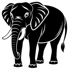 elephant isolated on white