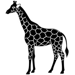 giraffe vector illustration