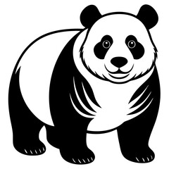 panda bear illustration