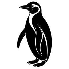 penguin on white background