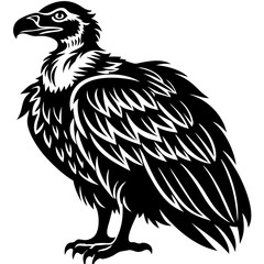 eagle vector illustration