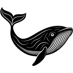 illustration of a fish