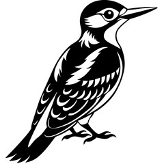 Fototapeta premium bird on a branch