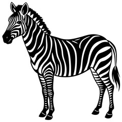 zebra vector illustration © i'm real design_work