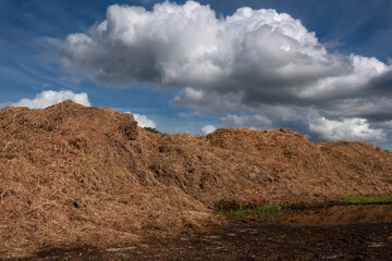 Bulk of hay, released by nature management in order to remove nitrogen from grassland