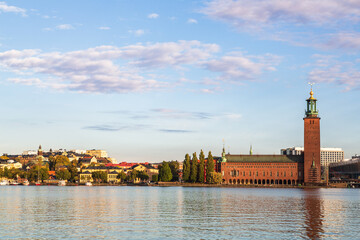 Fototapeta premium write 50 keywords with commas for the photo 