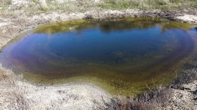 Cenote. A pit with water on the shore