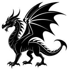 black dragon tattoo