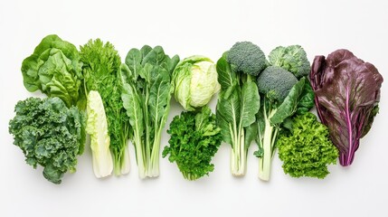 Colorful leafy greens and cruciferous vegetables are artfully displayed for freshness