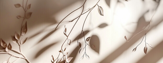 Delicate Botanical Shadows on Neutral Wall with Soft Light. banner
