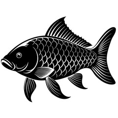fish on a white background